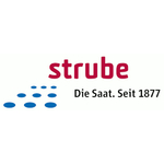 Logo Strube D&S GmbH