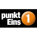 Logo punktEins GmbH